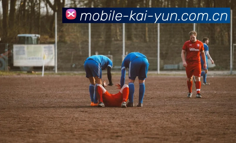 用户